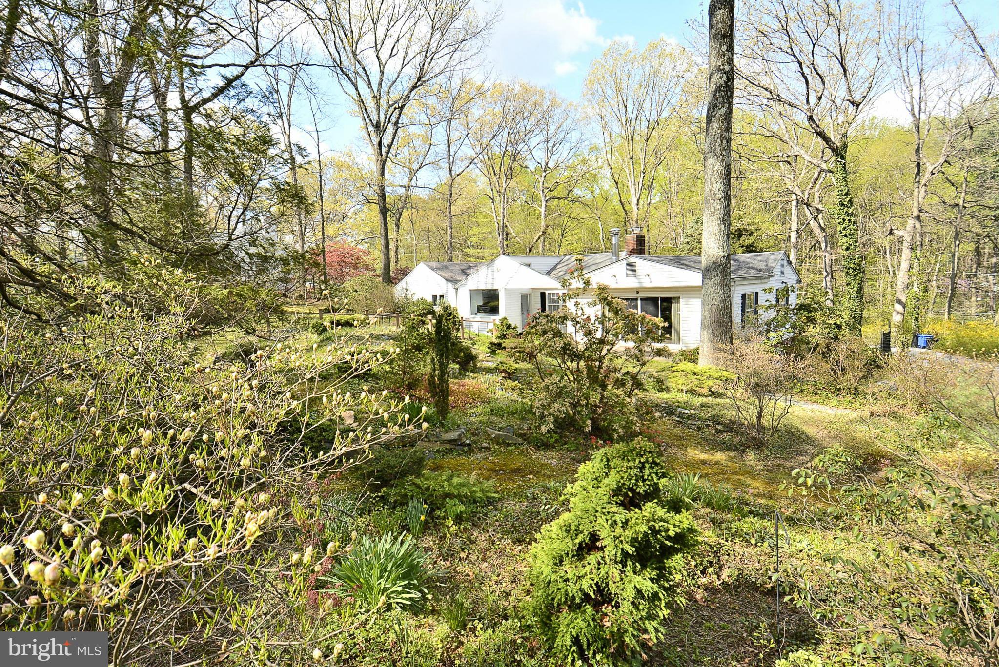 12013 Kemp Mill Road Silver Spring, MD 20902 - Photo 27 of 30 Back Yard
