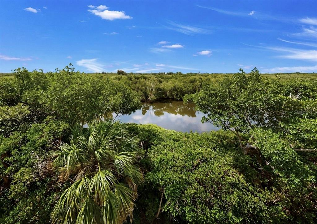 3202 Mangrove Point Drive Ruskin, FL 33570 - Photo 48 of 63