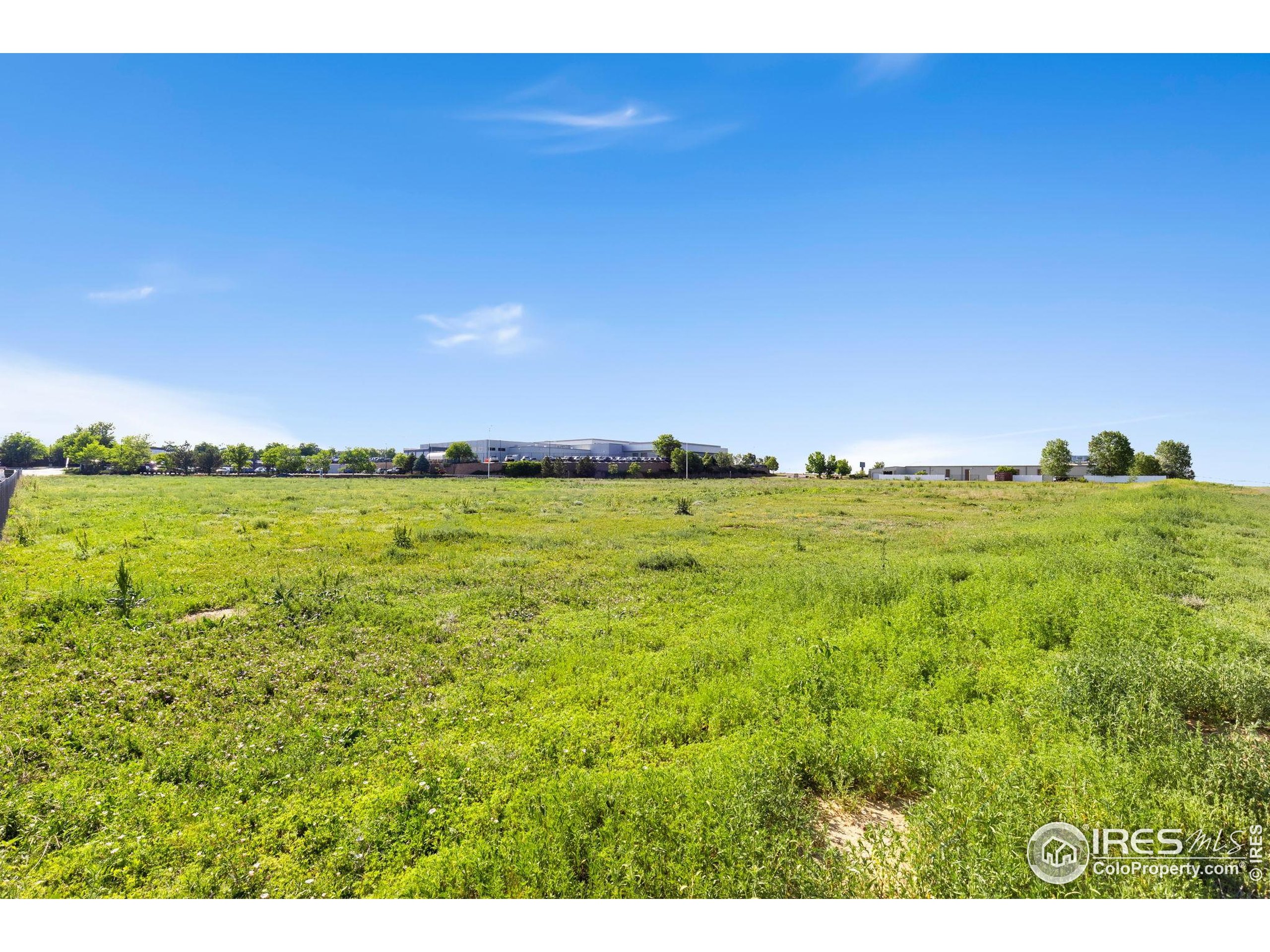 8360 Raspberry Way Frederick, CO 80504 - Photo 7 of 8 a view of a field with an ocean