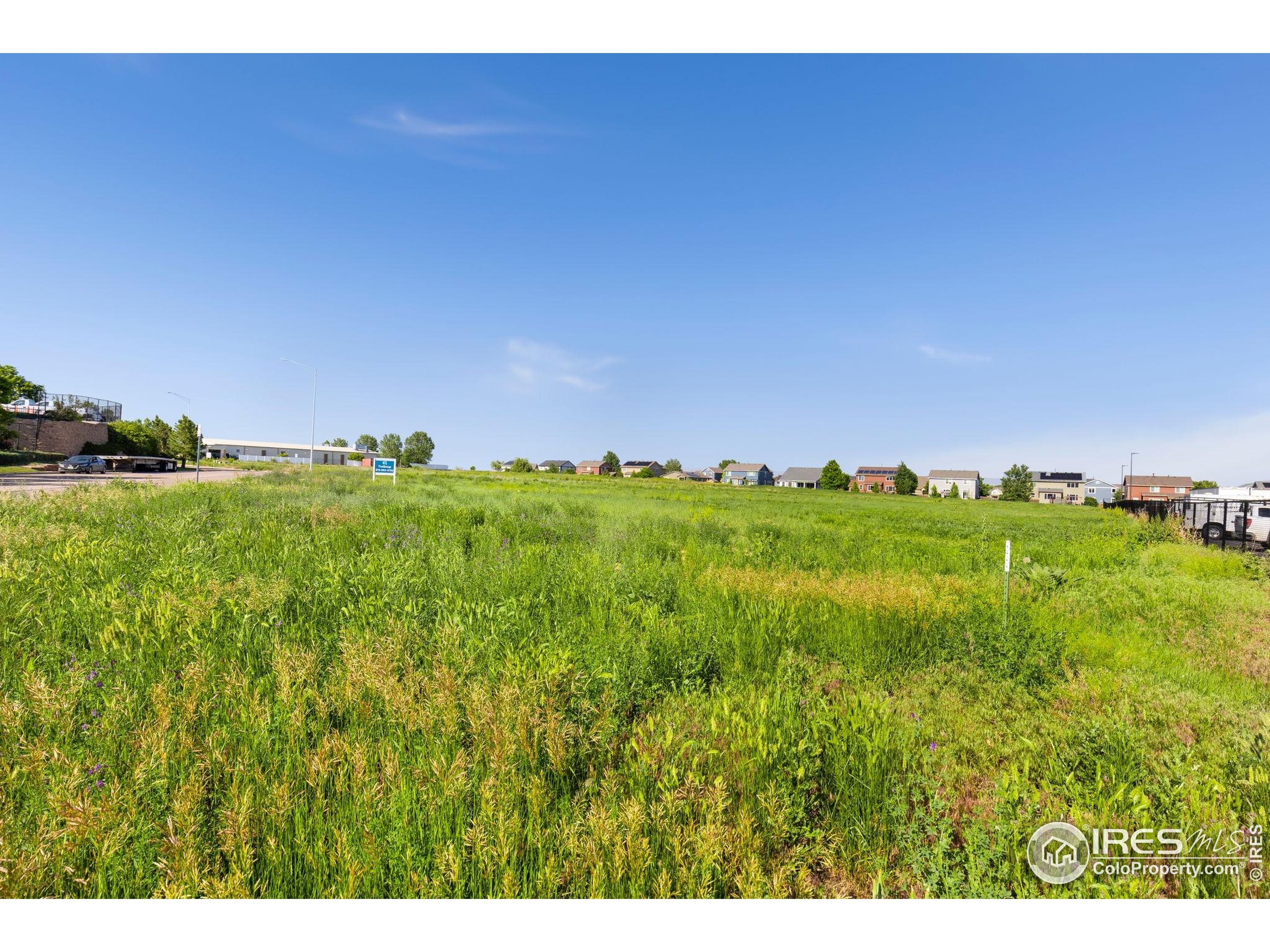 8360 Raspberry Way Frederick, CO 80504 - Photo 8 of 8 a view of a big yard with large trees