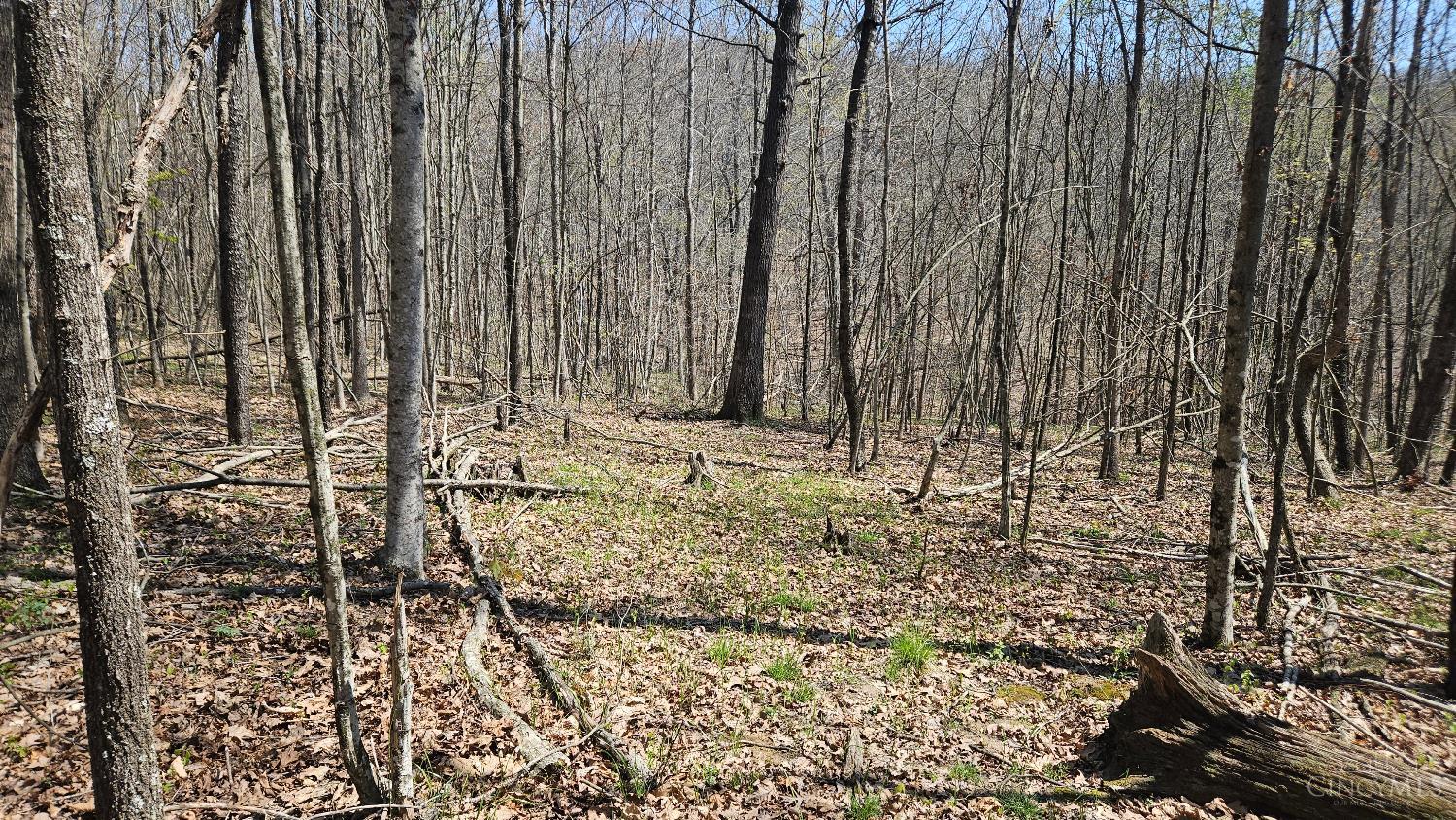 0 Spruce Hollow Road South Webster, OH 45682 - Photo 26 of 54