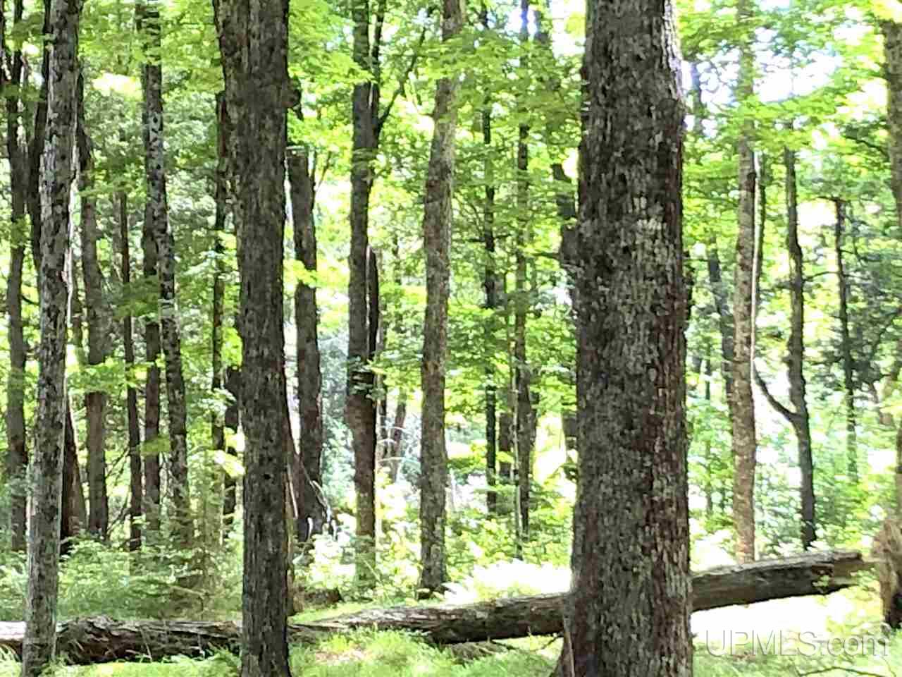 9 Road Trail Felch, MI 49831 - Photo 2 of 42