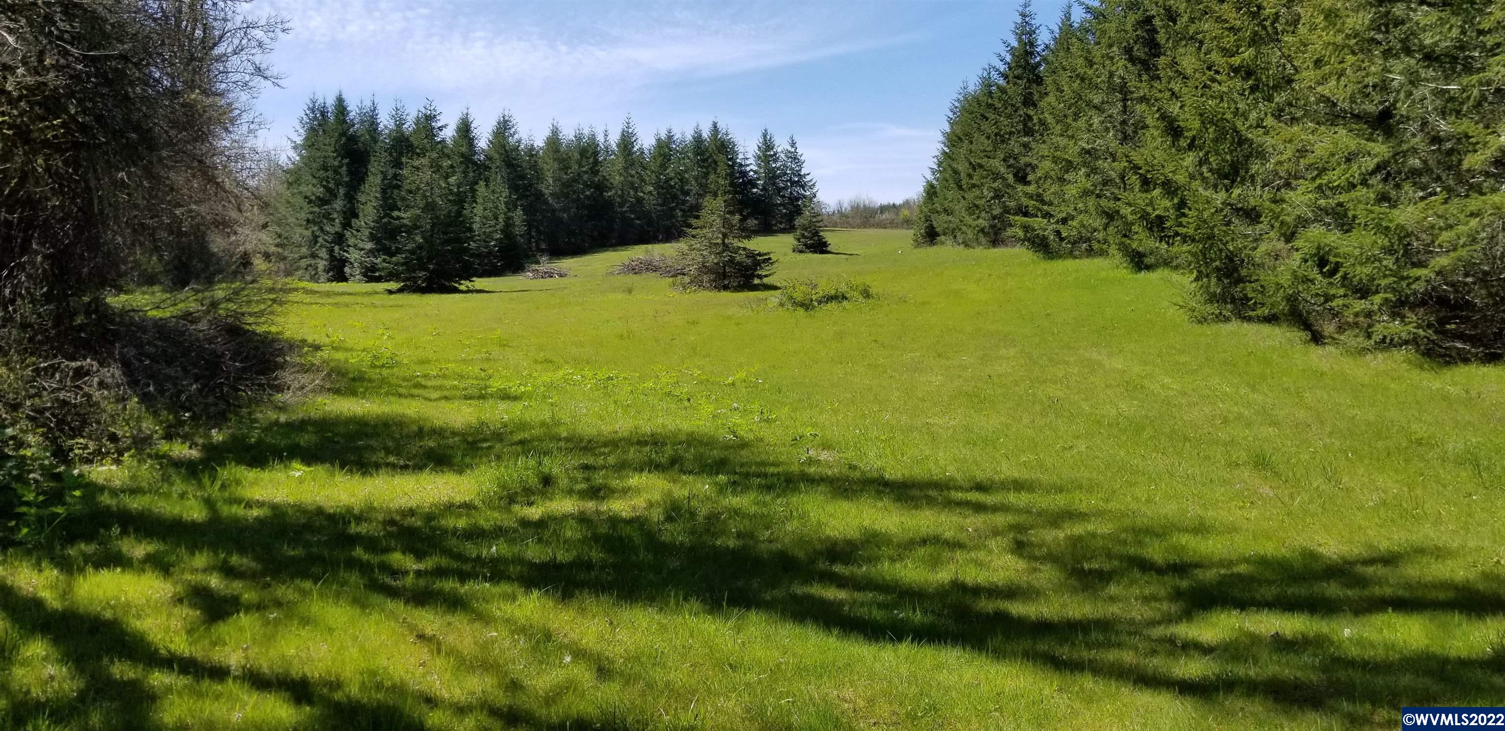 20660 Stone Road Sheridan, OR 97378 - Photo 34 of 39