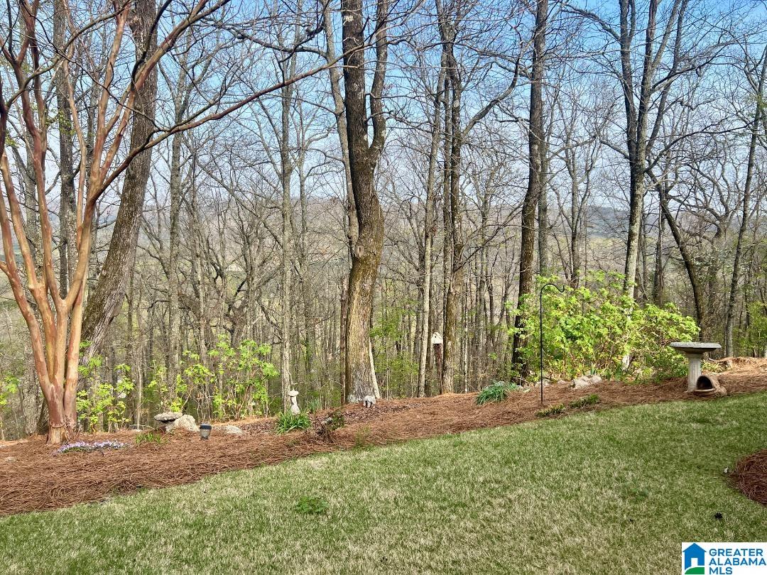 5619 Summit Pointe Pinson, AL 35126 - Photo 5 of 5