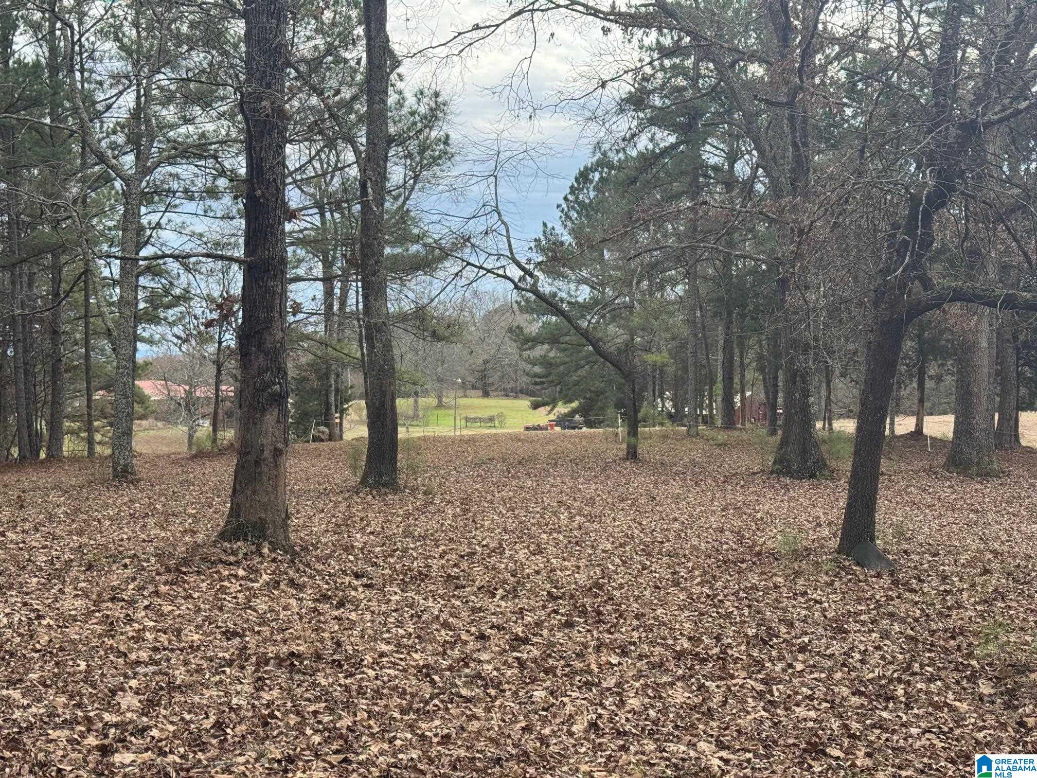 3953 Logan Martin Dam Road Cropwell, AL 35054 - Photo 82 of 99