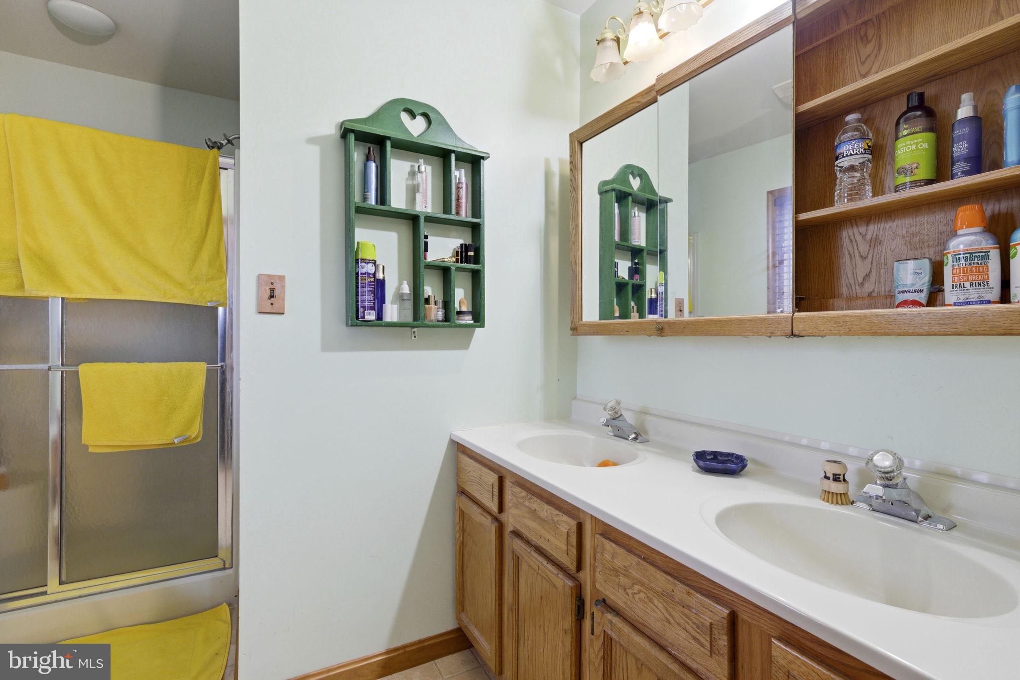 1655 Old Elk Neck Road Elkton, MD 21921 - Photo 18 of 43 a bathroom with a sink and a mirror