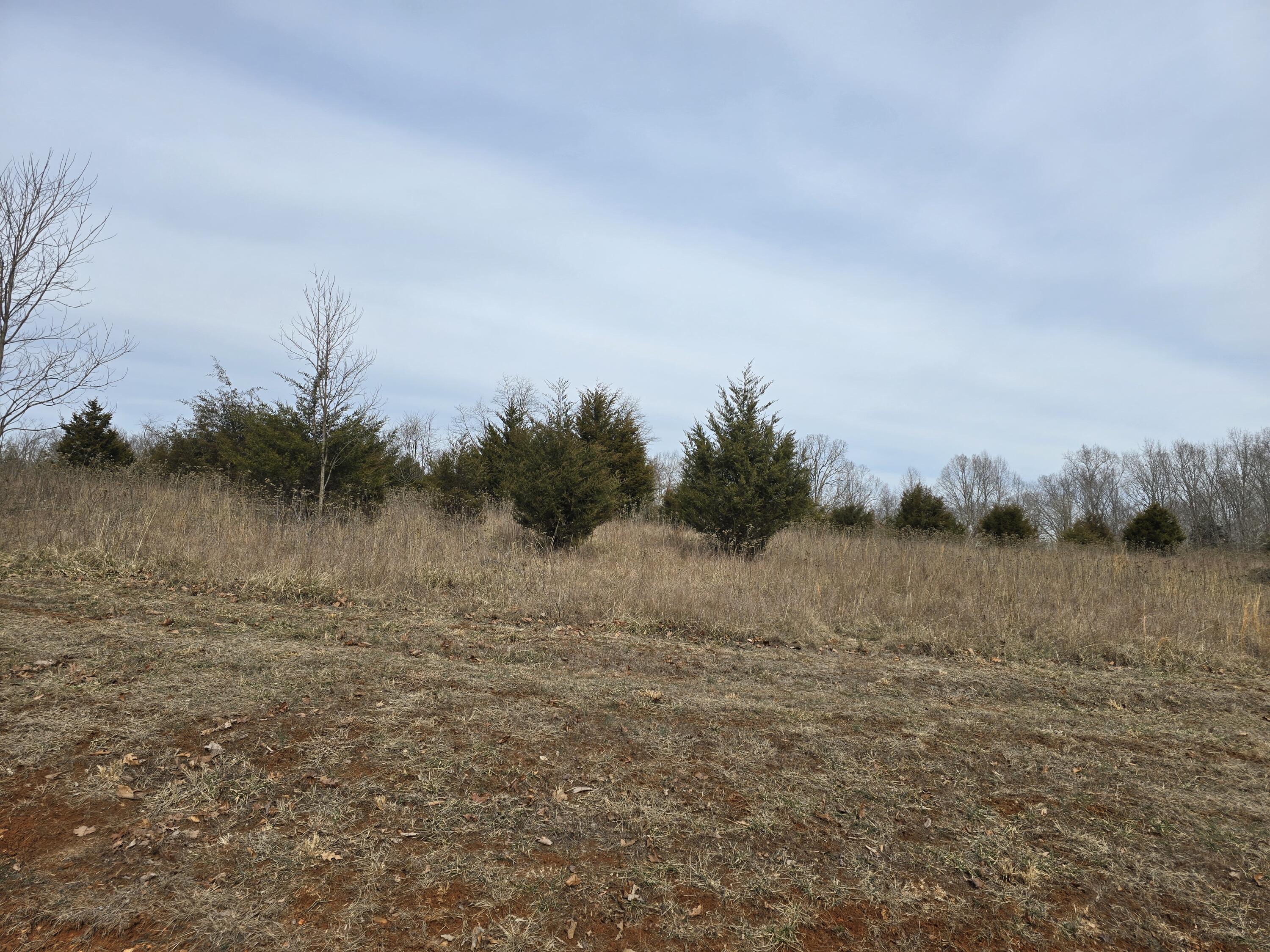 Lot 16 Robin Ridge Court Pittsville, VA 24139 - Photo 3 of 7 a view of lake