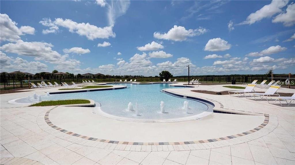 9434 Lemon Drop Loop Sun City Center, FL 33573 - Photo 45 of 46