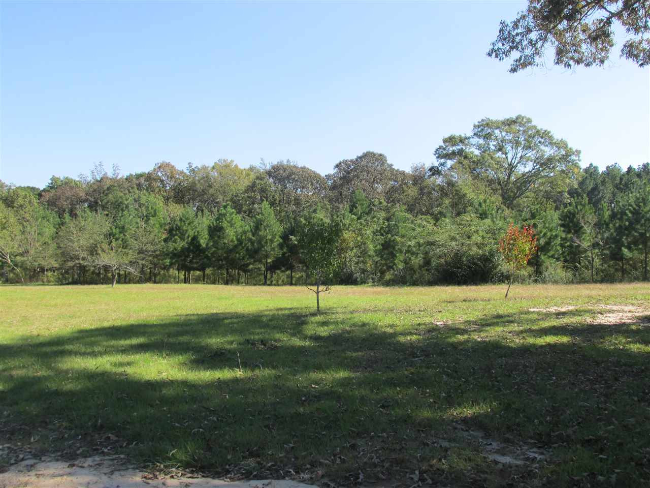 206 Jones Spell Road Mendenhall, MS 39114 - Photo 30 of 30 Photo 30