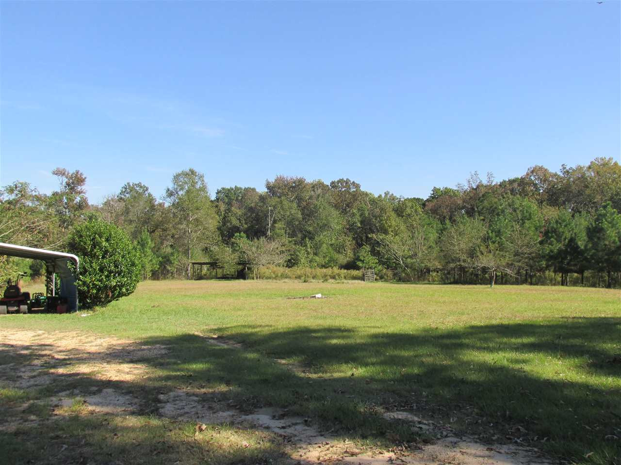 206 Jones Spell Road Mendenhall, MS 39114 - Photo 4 of 30 Photo 4