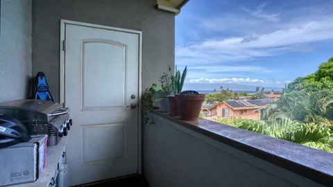 a view of a potted plant with a garden