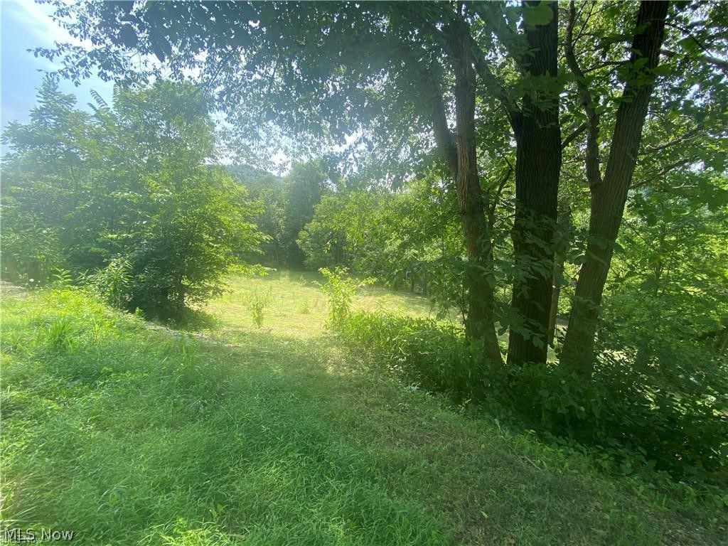 76040 Skull Fork Road Freeport, OH 43973 - Photo 14 of 34 Gallery Image 14