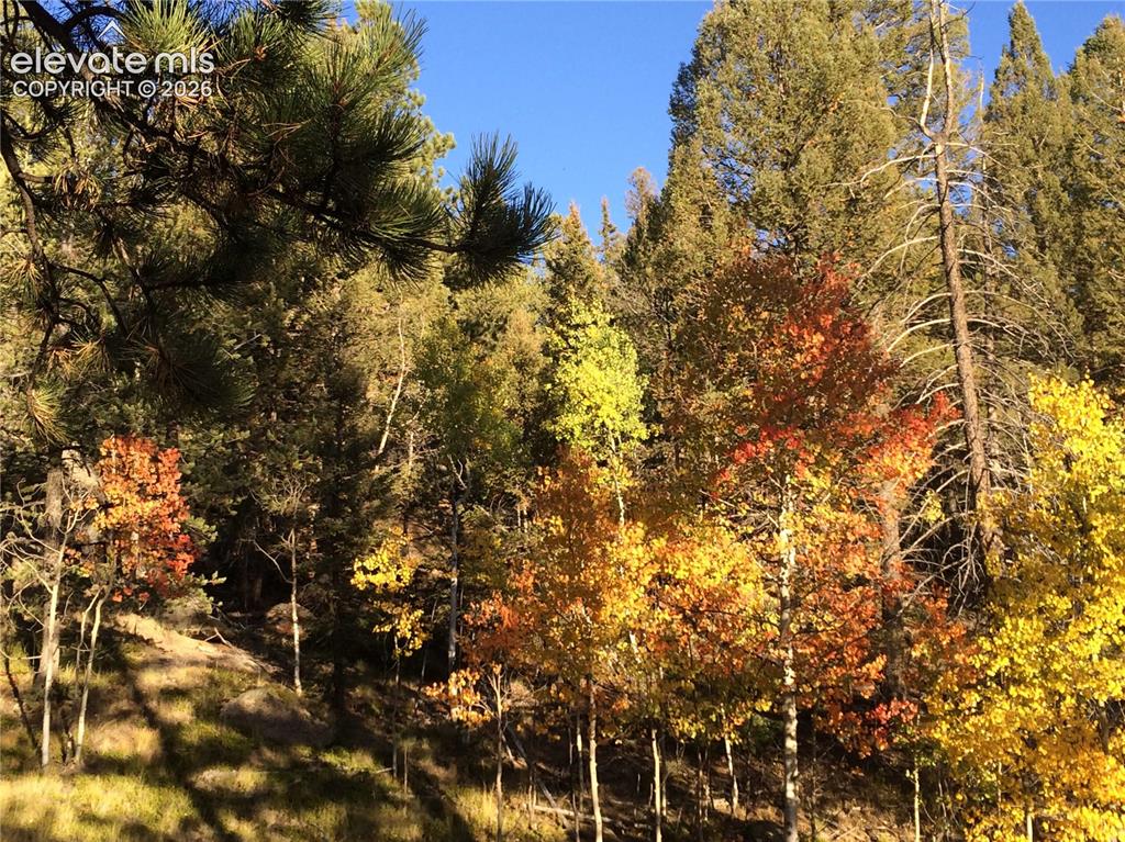 161 Wahsatch Road Florissant, CO 80816 - Photo 33 of 36