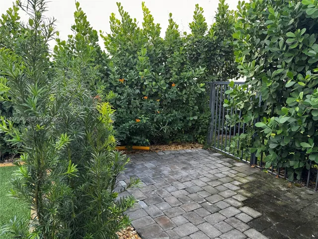 a view of a forest with trees in the background