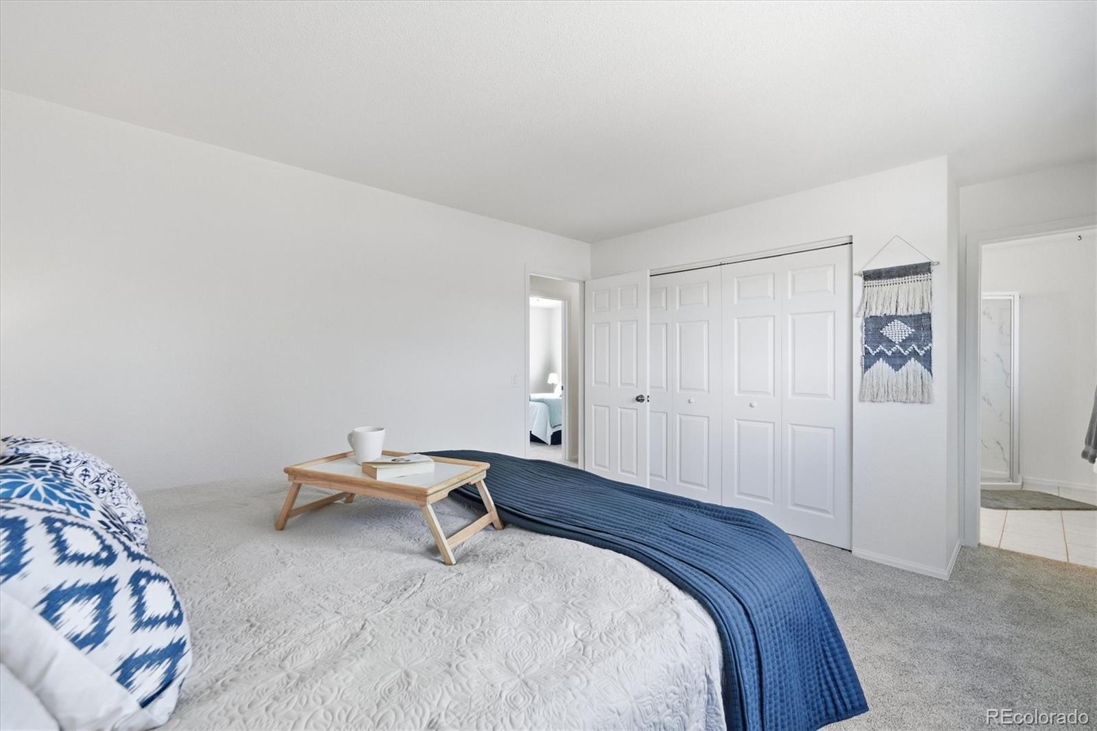 8169 Webster Street Arvada, CO 80003 - Photo 18 of 50