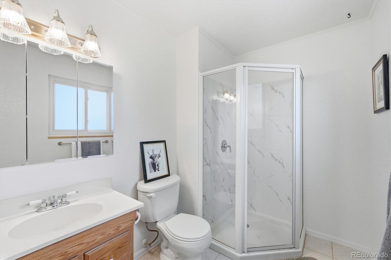 8169 Webster Street Arvada, CO 80003 - Photo 19 of 50