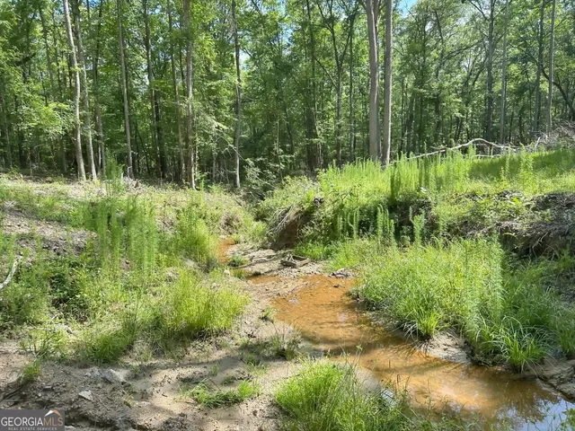 a view of backyard with green space