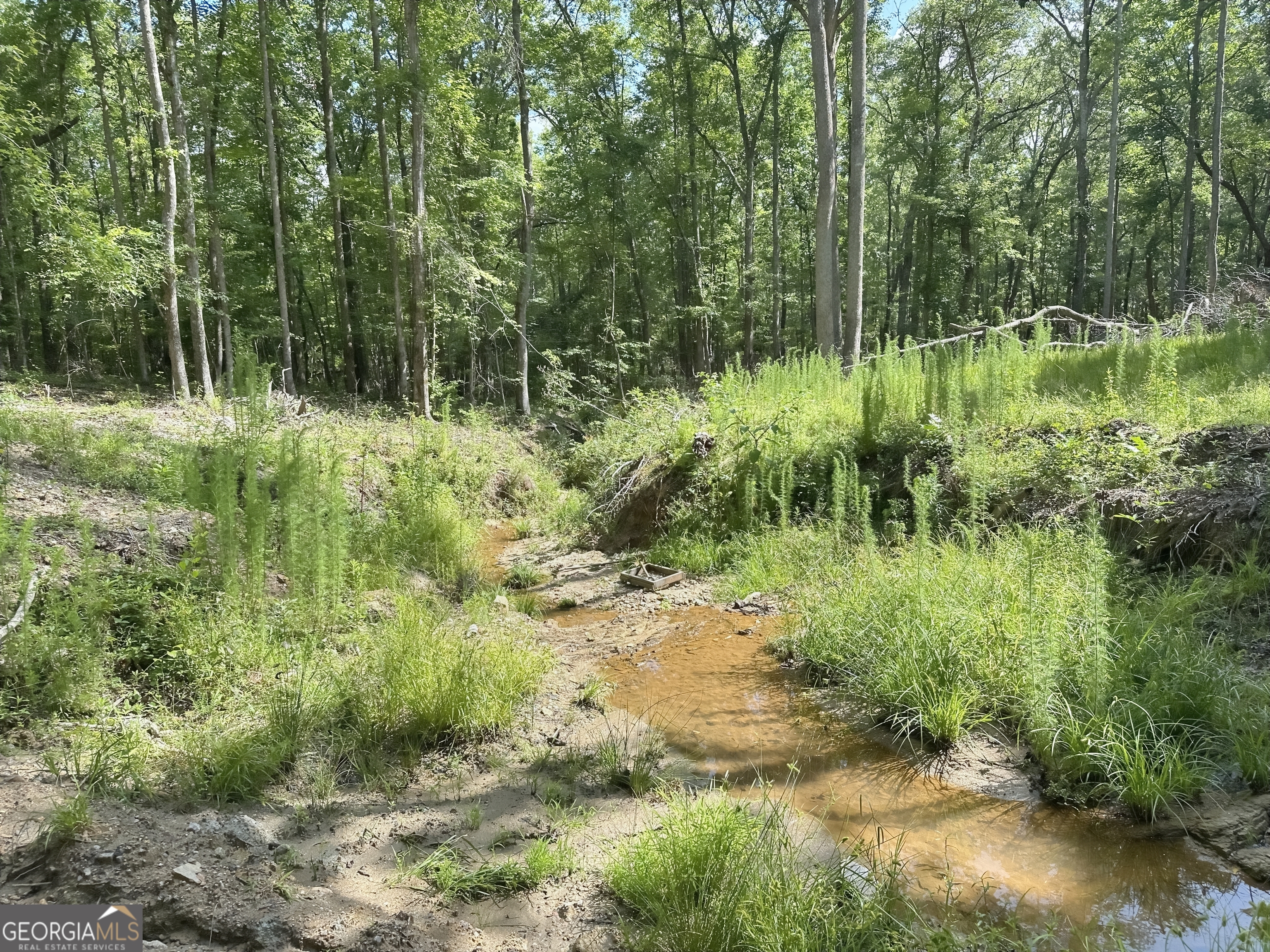 0 Fincher Street LaGrange, GA 30241 - Photo 11 of 17 a view of backyard with green space