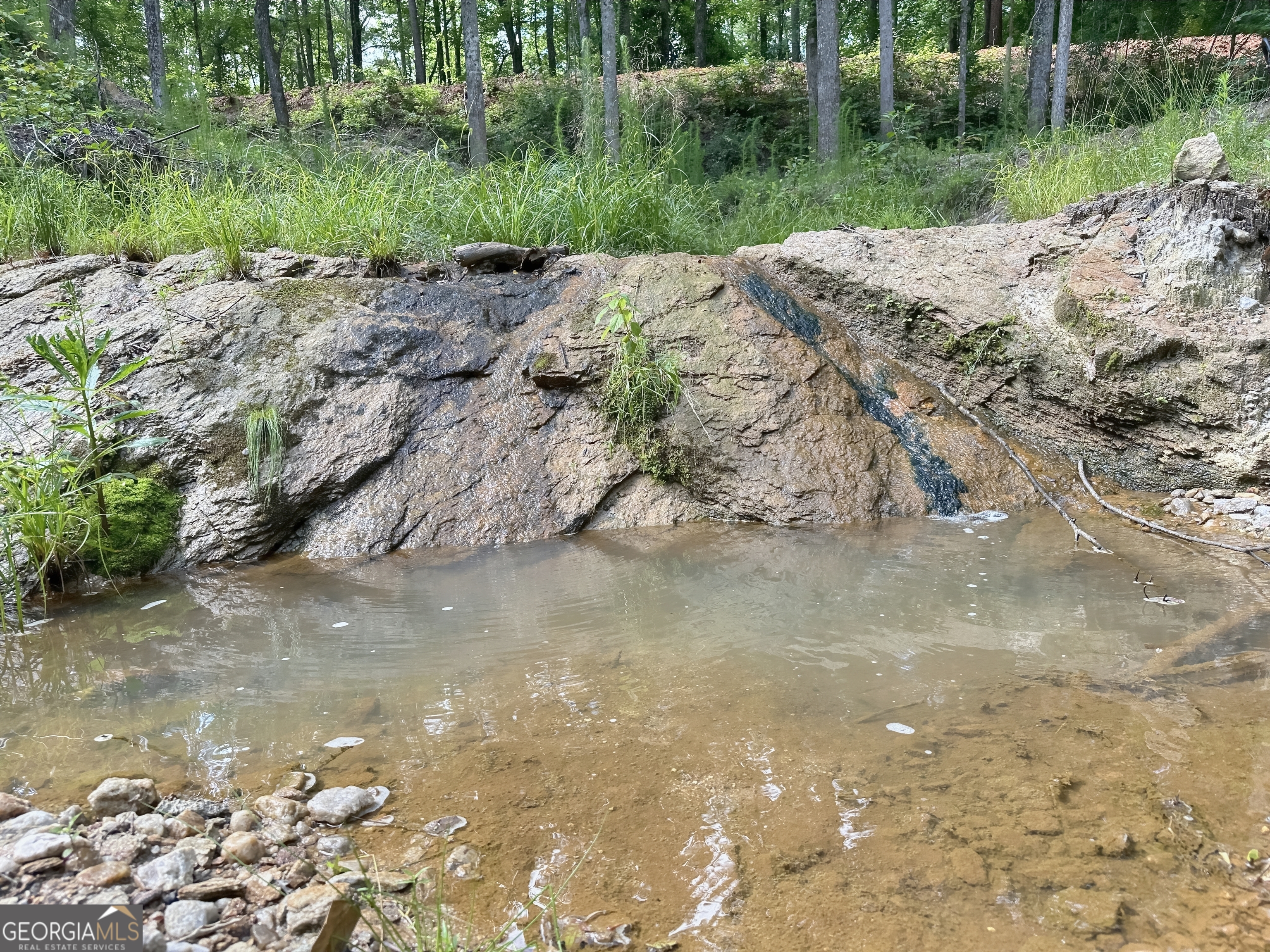 0 Fincher Street LaGrange, GA 30241 - Photo 12 of 17 a view of a yard with a fountain