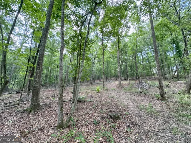 a view of outdoor space