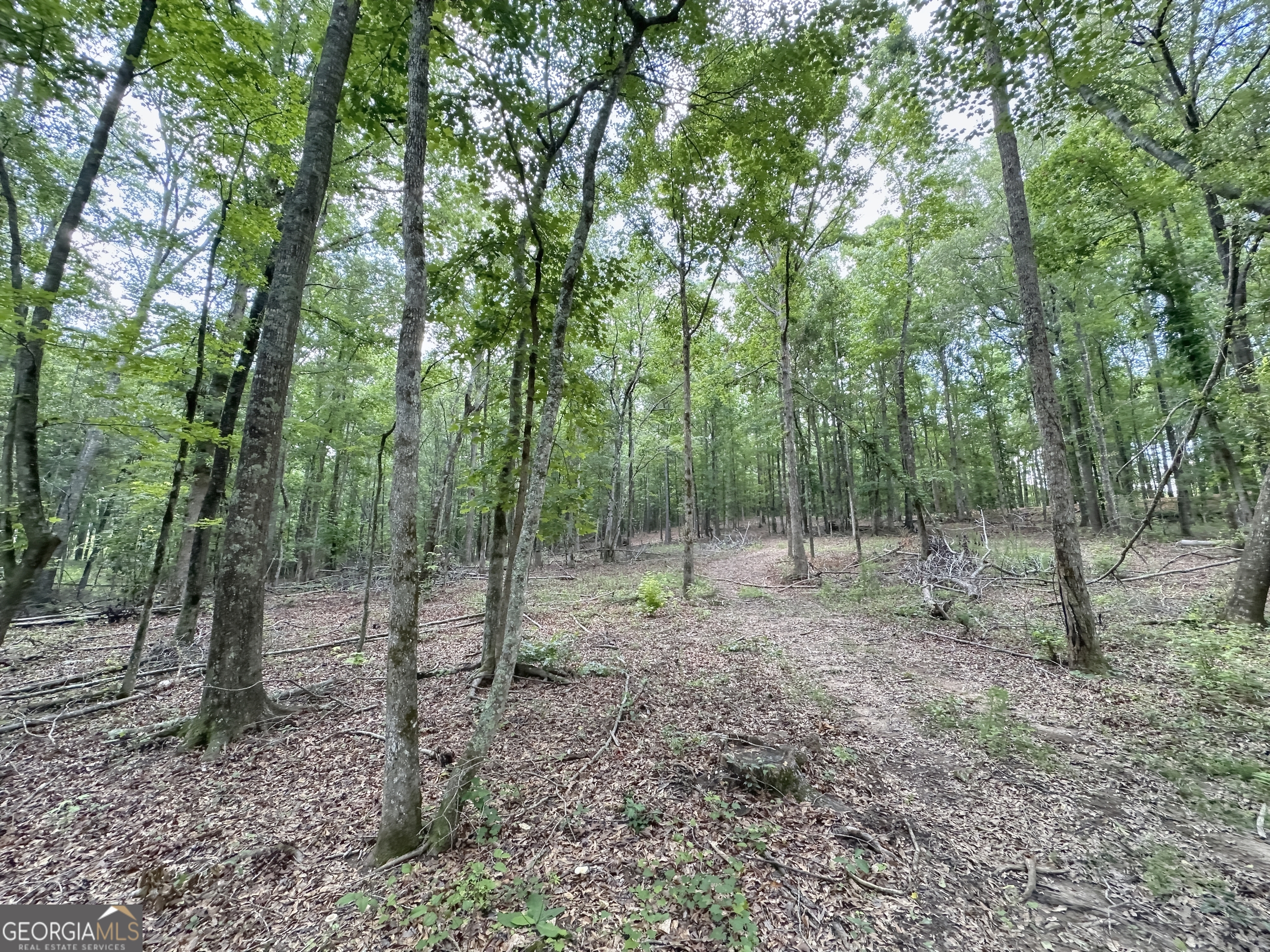 0 Fincher Street LaGrange, GA 30241 - Photo 13 of 17 a view of outdoor space
