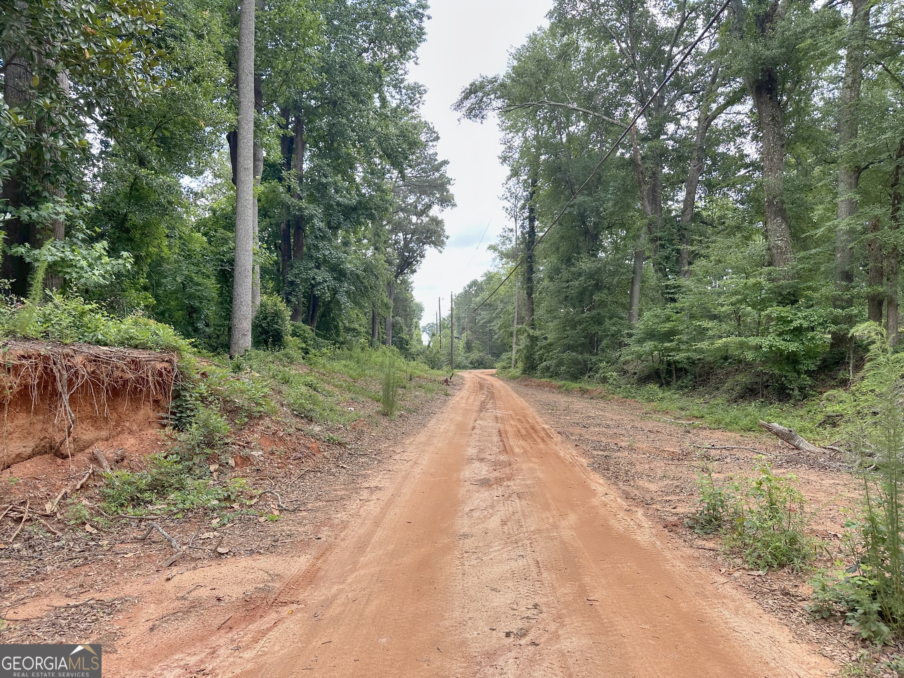 0 Fincher Street LaGrange, GA 30241 - Photo 3 of 17 a view of outdoor space and yard