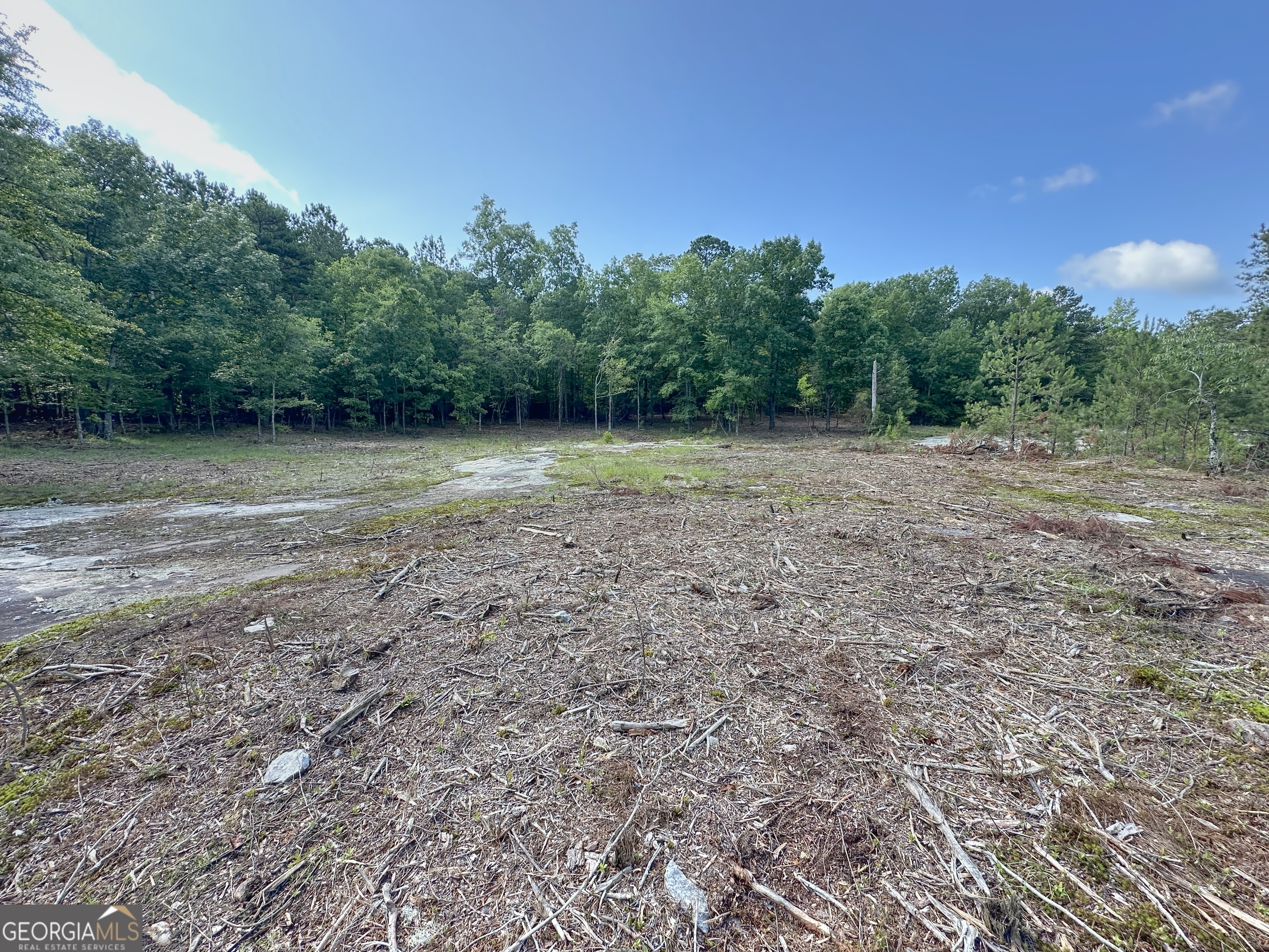 0 Fincher Street LaGrange, GA 30241 - Photo 4 of 17 a view of a field with trees in the background