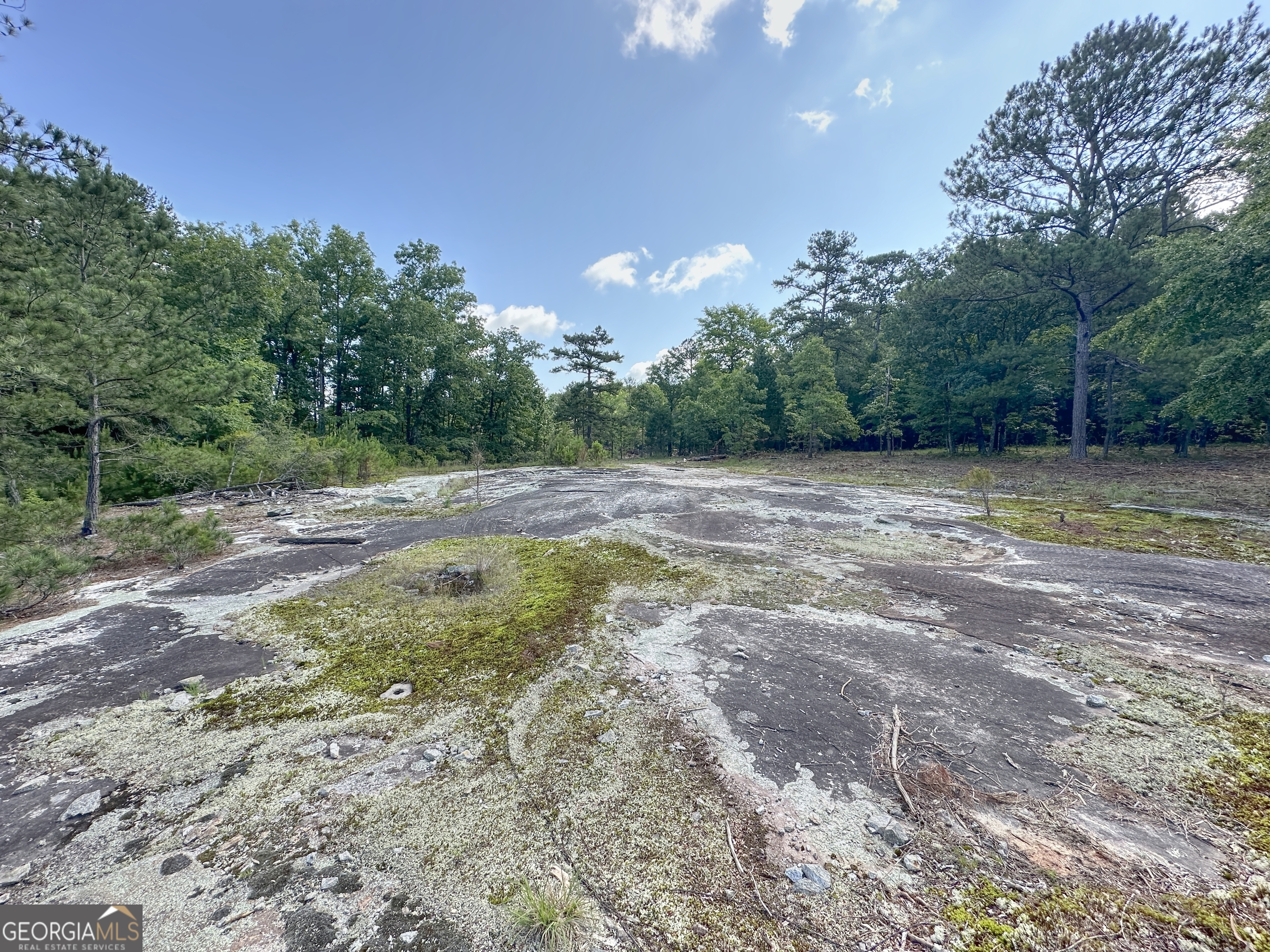 0 Fincher Street LaGrange, GA 30241 - Photo 5 of 17 a view of a dry yard with trees