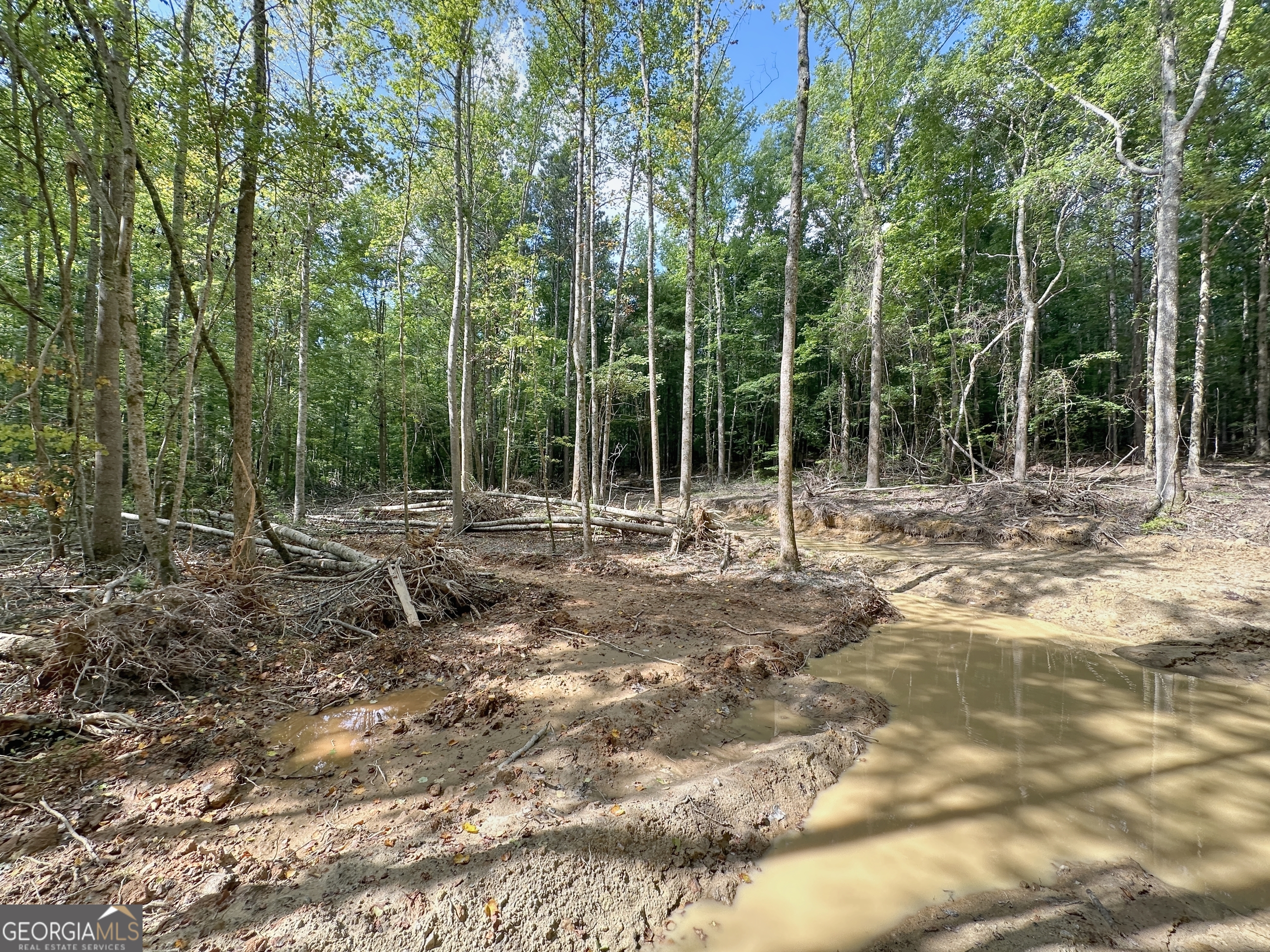 0 Fincher Street LaGrange, GA 30241 - Photo 7 of 17 a view of outdoor space with green space