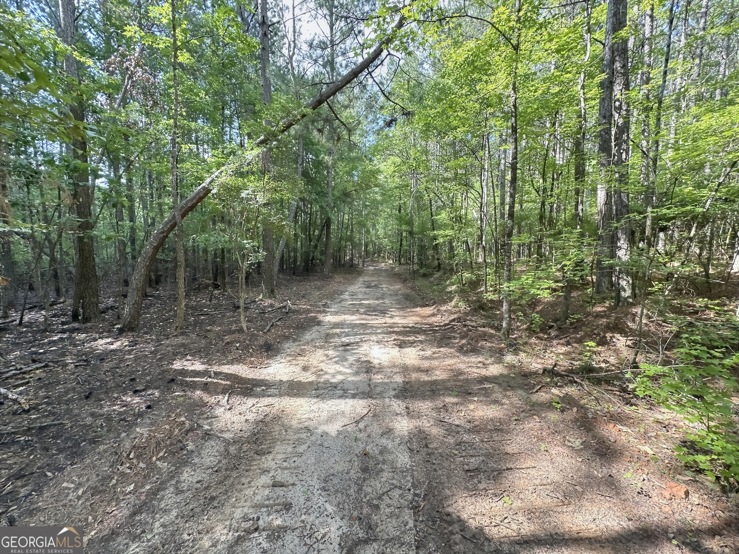 0 Fincher Street LaGrange, GA 30241 - Photo 9 of 17 a view of a forest with trees in the background