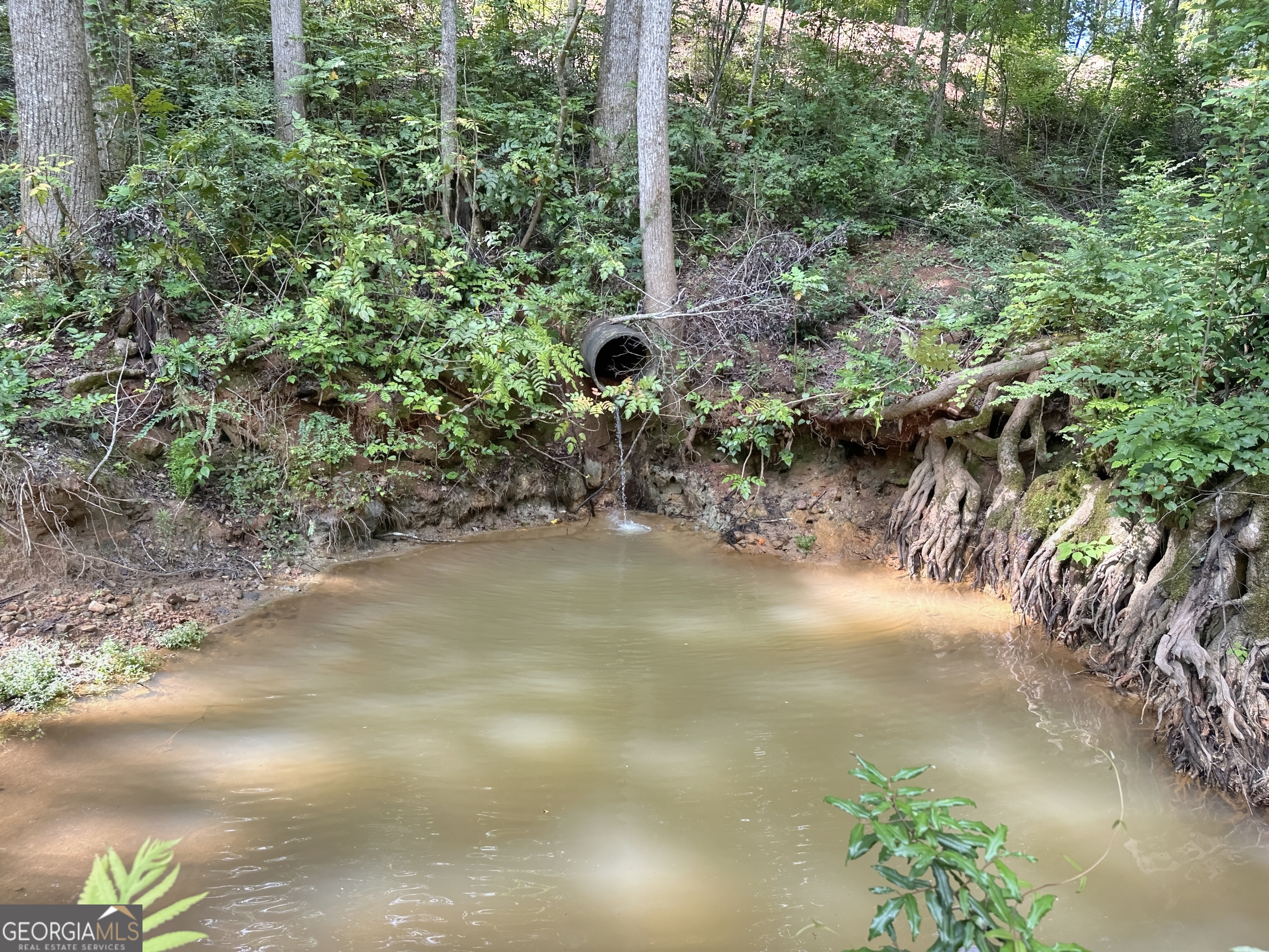 0 Fincher Street LaGrange, GA 30241 - Photo 10 of 17 a view of a lake with a yard