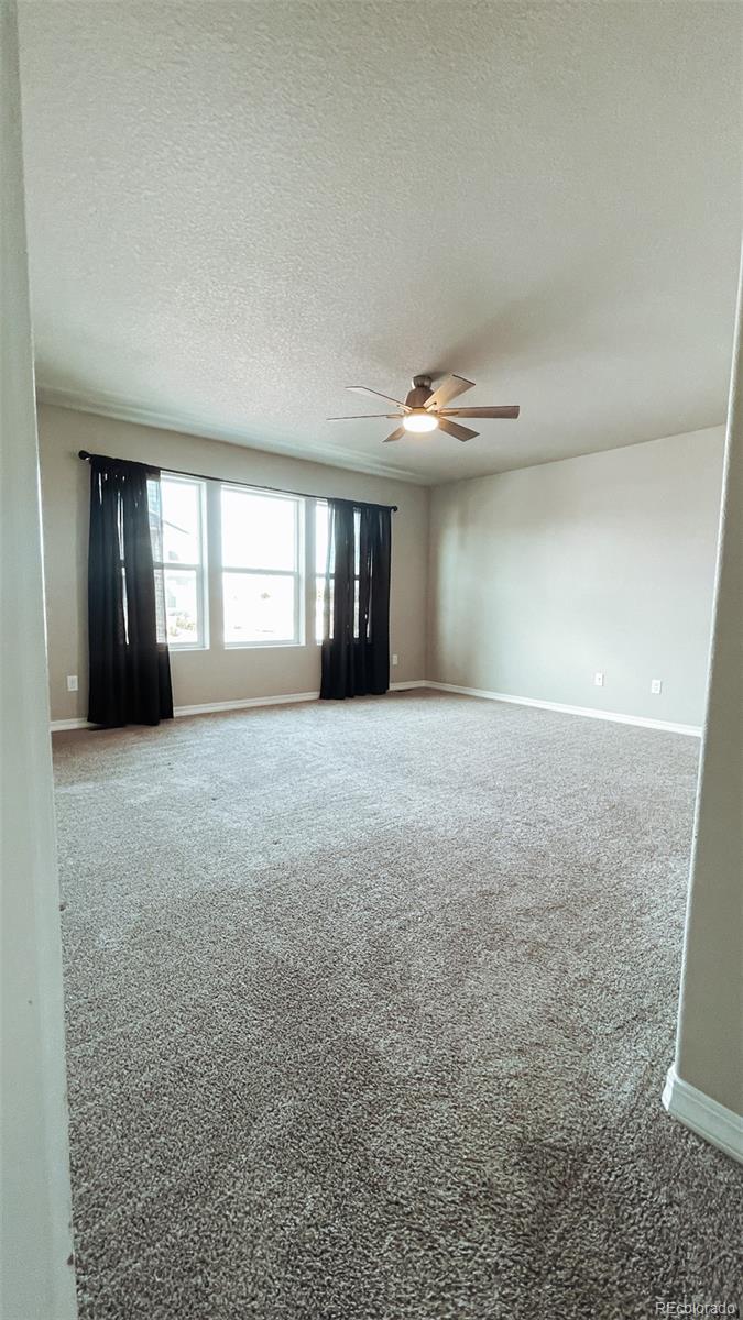 7935 Shilo Mesa Drive Colorado Springs, CO 80908 - Photo 19 of 30 wooden floor in an empty room with a window