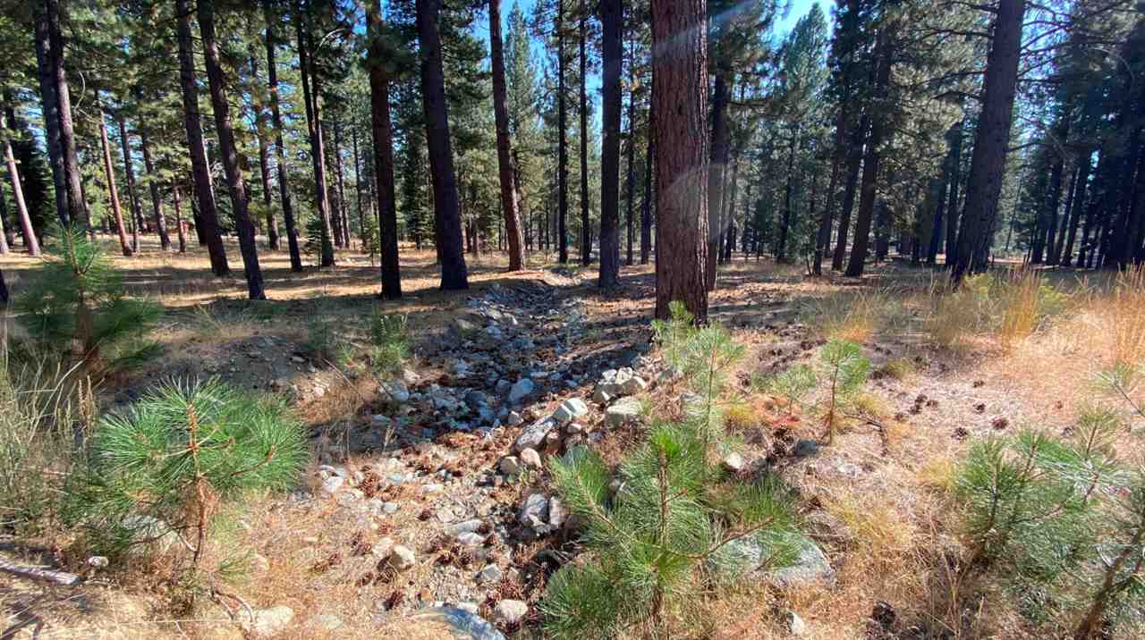 361 Clio State 40A Road Clio, CA 96106 - Photo 10 of 19 Gallery Image 10
