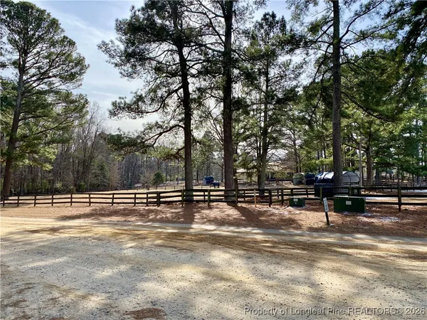 a view of a yard with trees