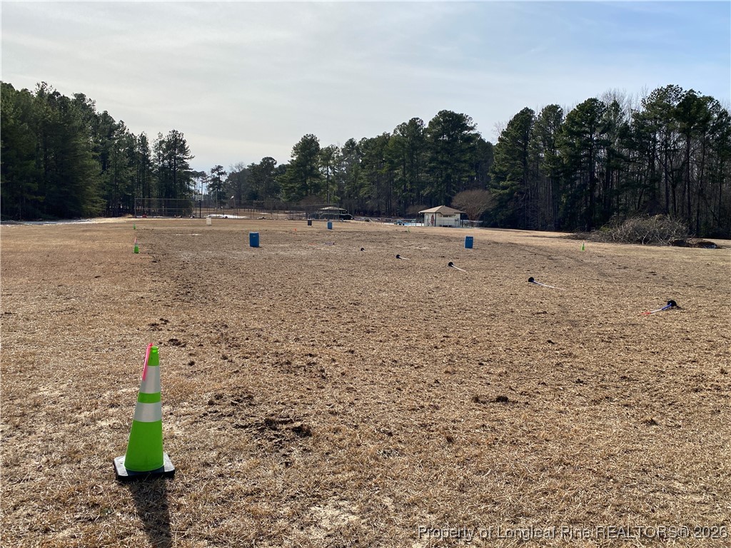 Western Trail Carthage, NC 28327 - Photo 14 of 15