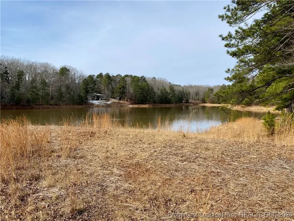 a view of a lake with a city