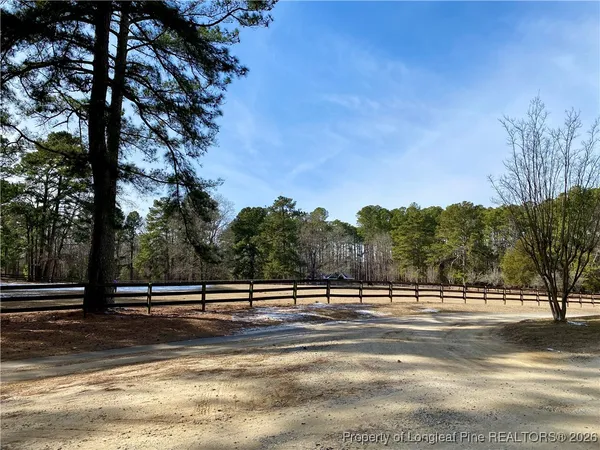 a view of a yard