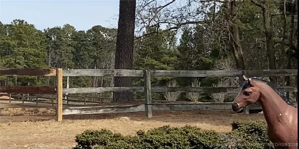 a view of park with bench and trees