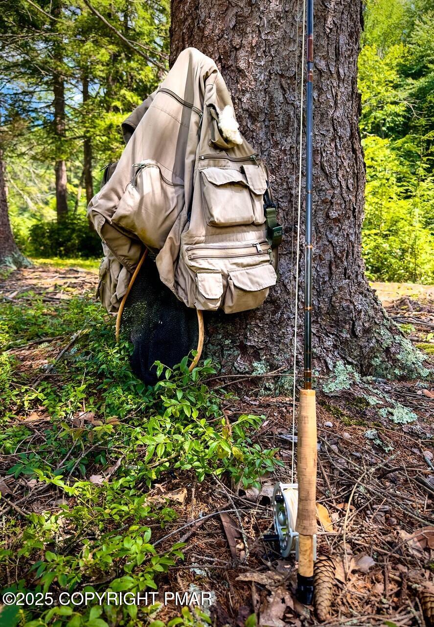 614 Graystones Jeras Road Jim Thorpe, PA 18229 - Photo 4 of 11 a backyard of a house with table and chairs