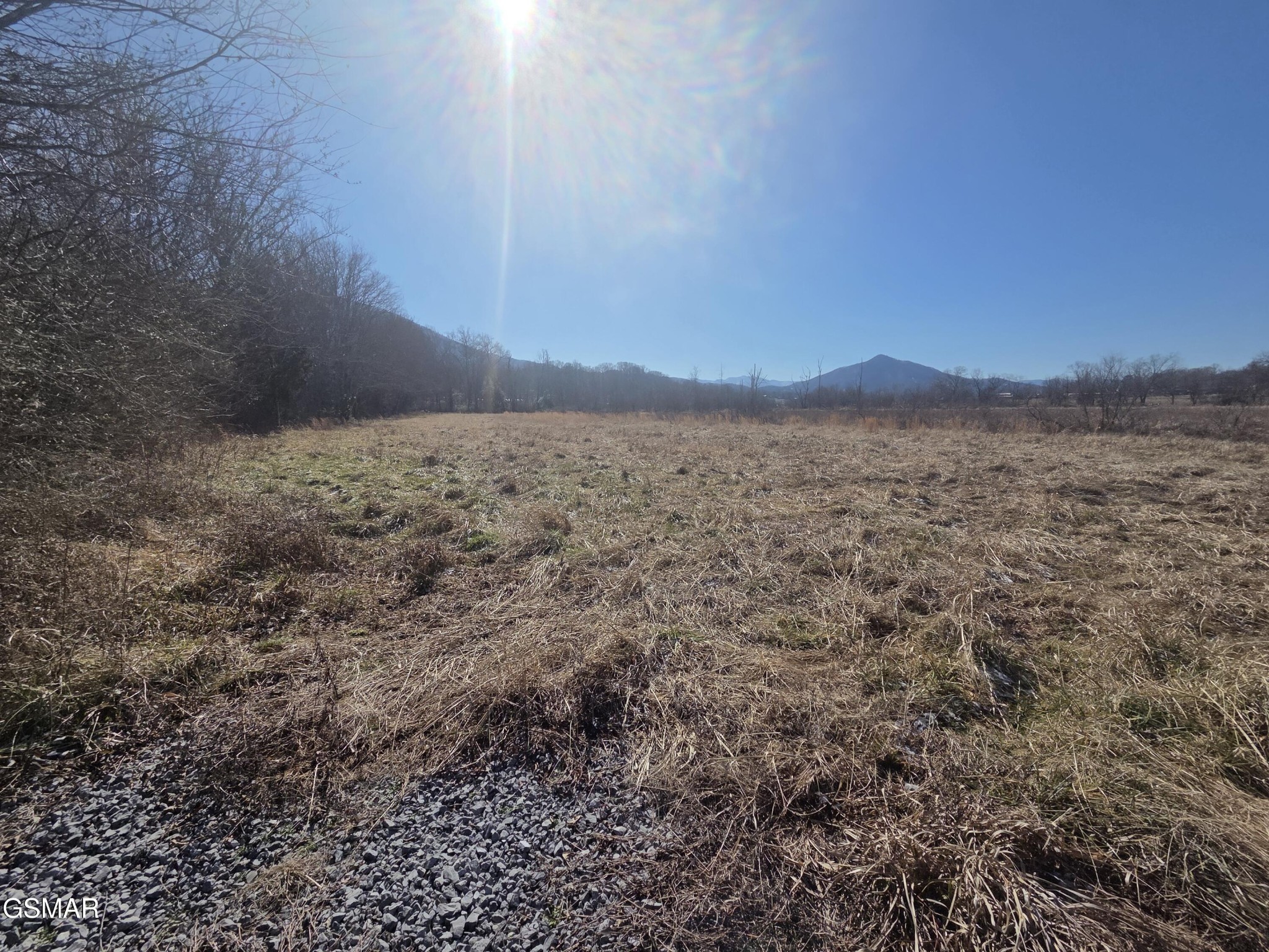 0 Wears Valley Road Sevierville, TN 37862 - Photo 2 of 4 Gallery Image 2