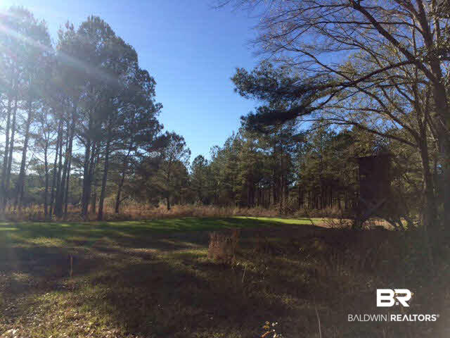 20932 Earl Phillips Road Little River, AL 36550 - Photo 15 of 17 Gallery Image 15