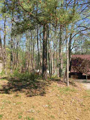 414 Hiwassee Drive Decatur, TN 37322 - Photo 5 of 32 20171908-4