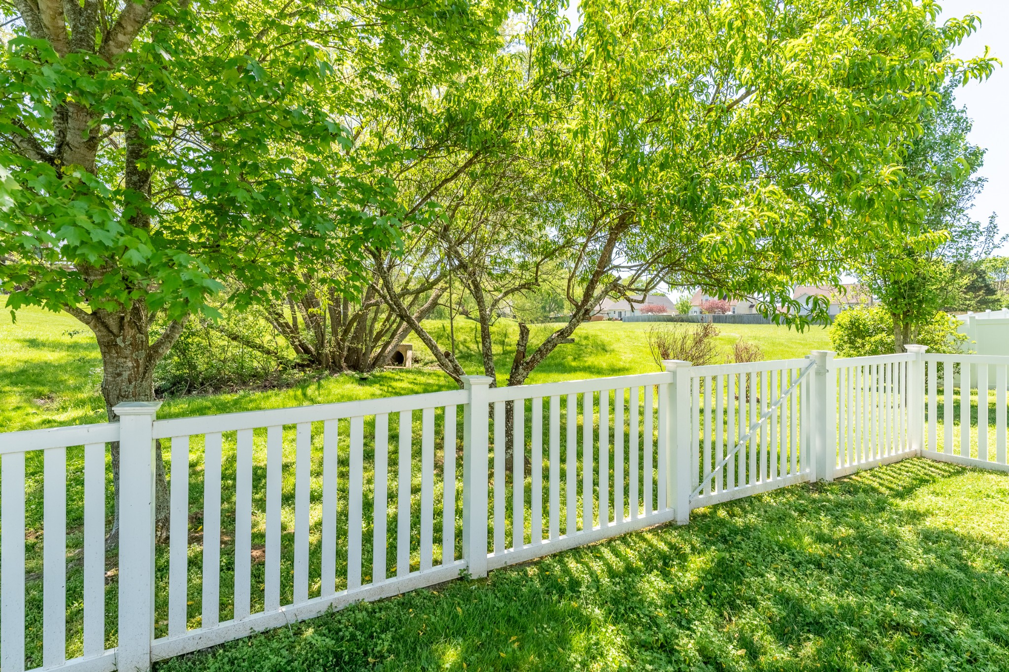 1006 Patterson Street Spring Hill, TN 37174 - Photo 44 of 48 Gallery Image 44