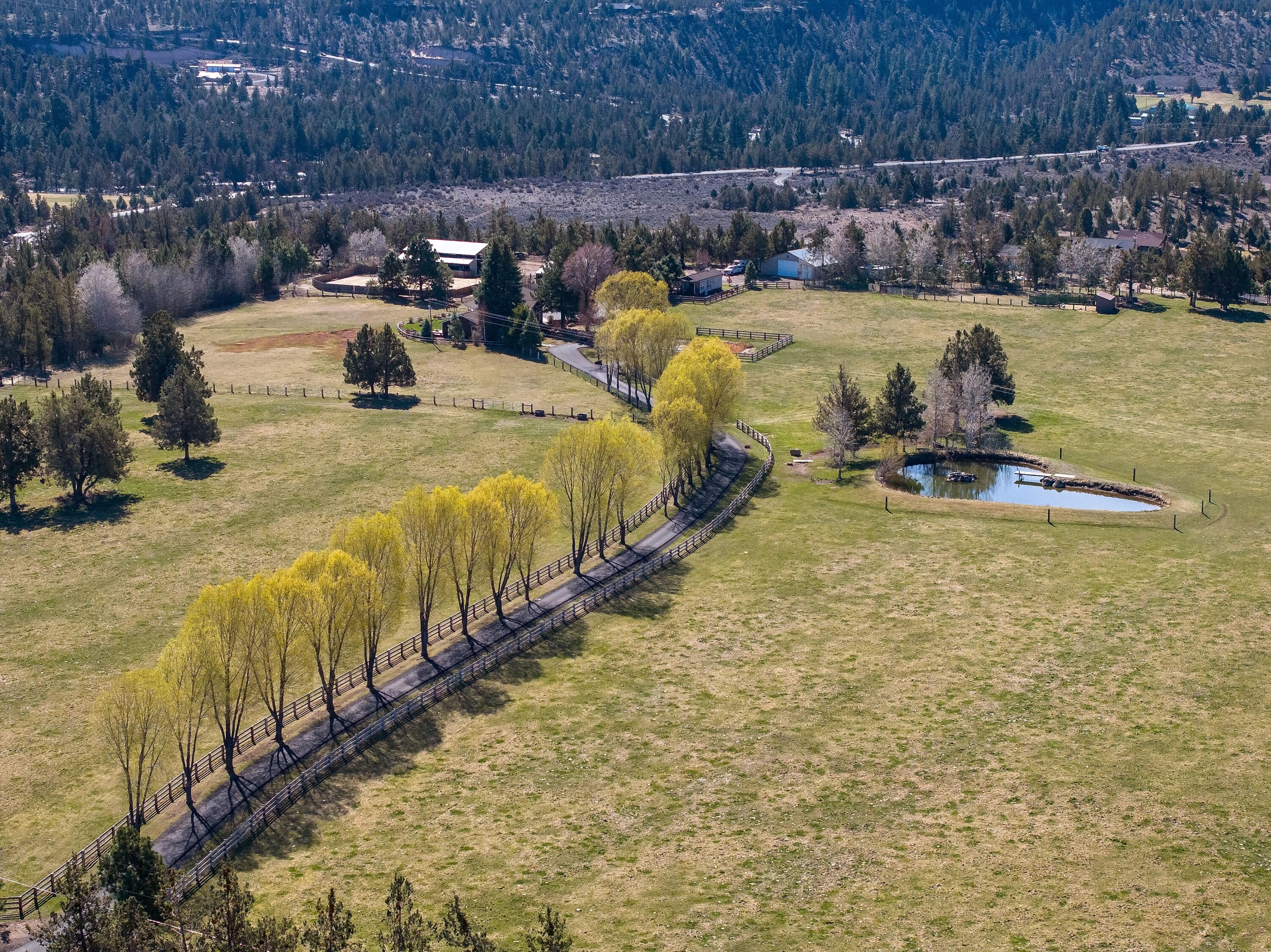 64440 Bailey Road Bend, OR 97703 - Photo 7 of 106 early Spring