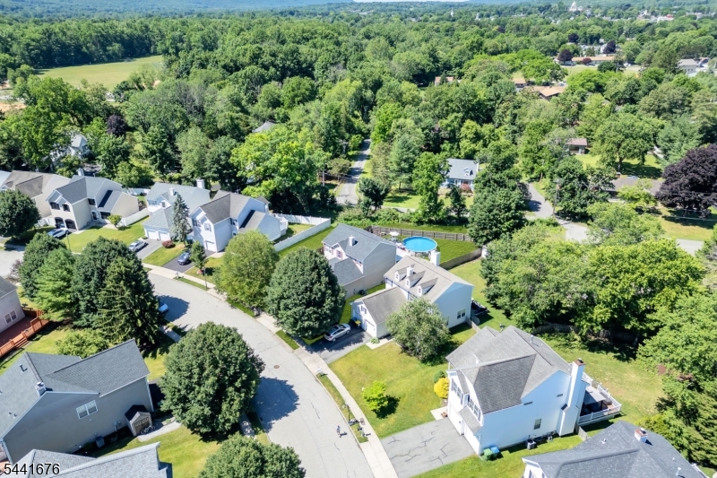 35 Musky Ridge Drive Hackettstown, NJ 07840 - Photo 37 of 39