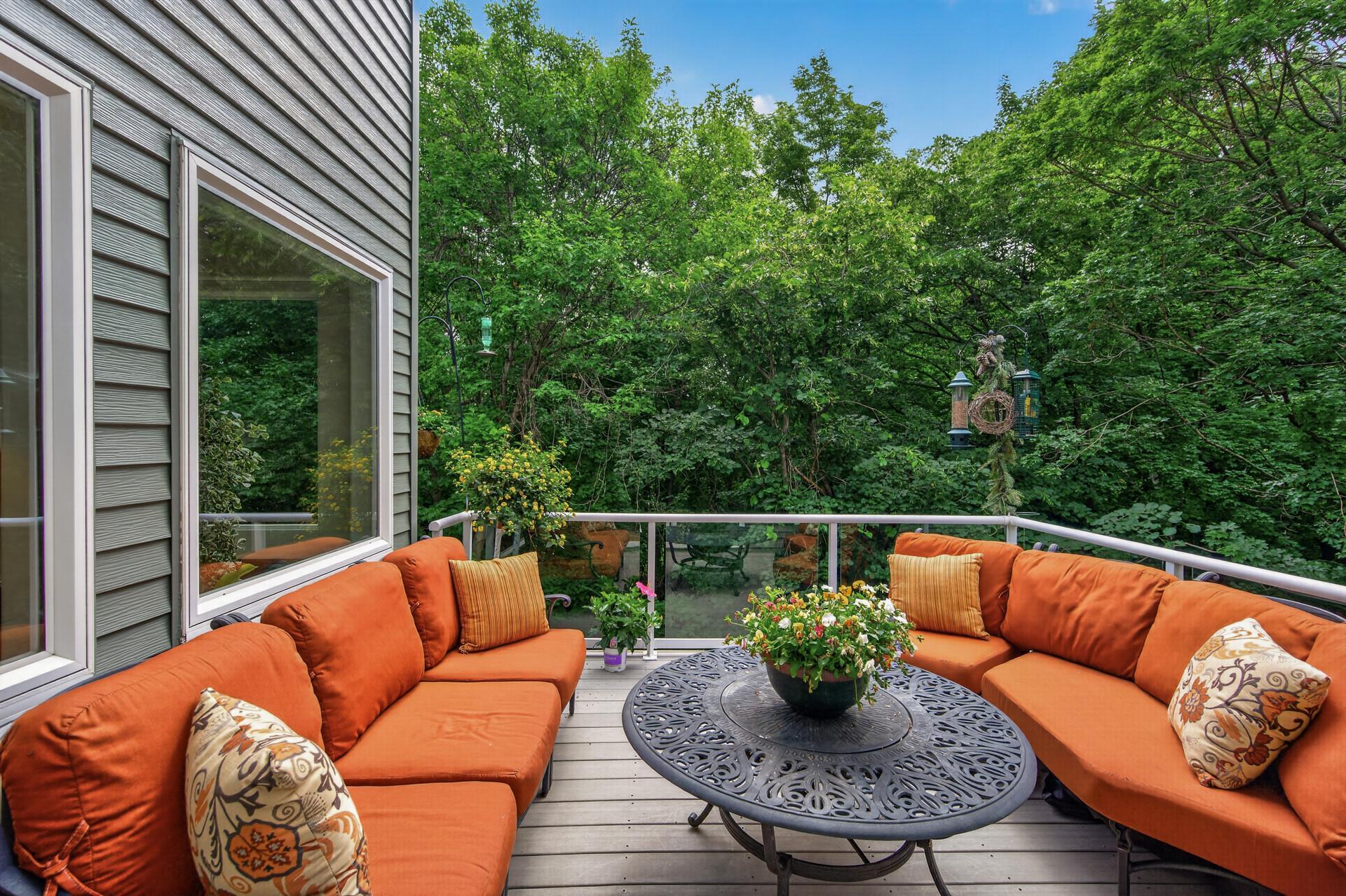 381 Del Rio Drive Chanhassen, MN 55317 - Photo 7 of 97