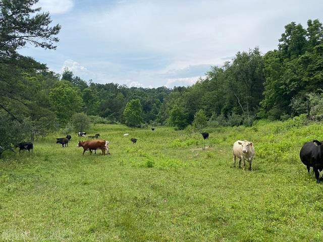 Tbd Rustic Ridge Road Riner, VA 24149 - Photo 29 of 53 Gallery Image 29