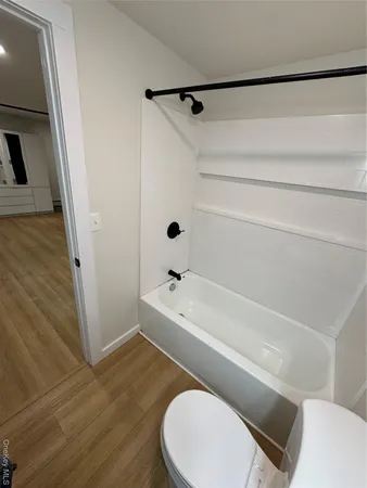 a bathroom with a toilet and a bathtub