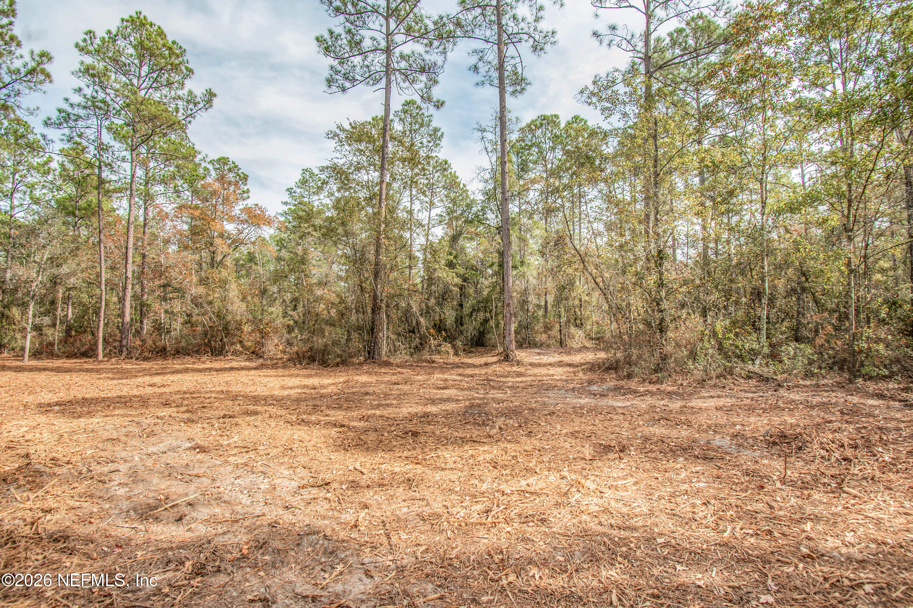 14320 C R 124 Sanderson, FL 32087 - Photo 2 of 5 untitled-6308copy