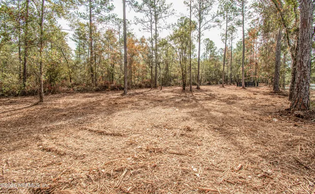 a view of empty room with trees